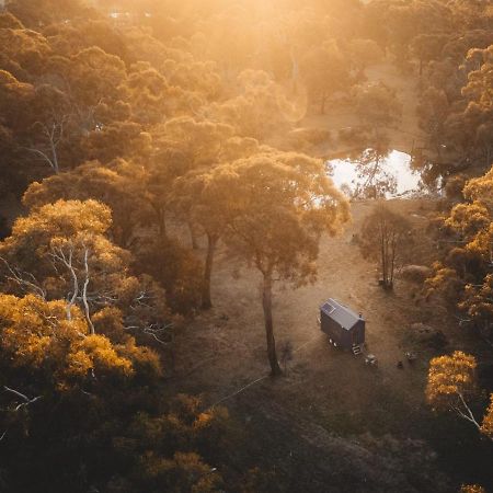 Вилла Ardingly Tiny House Newham Экстерьер фото