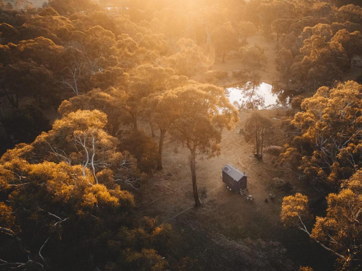 Вилла Ardingly Tiny House Newham Экстерьер фото